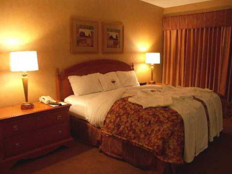 Embassy Suites By Hilton Detroit Metro Airport Romulus Bilik gambar